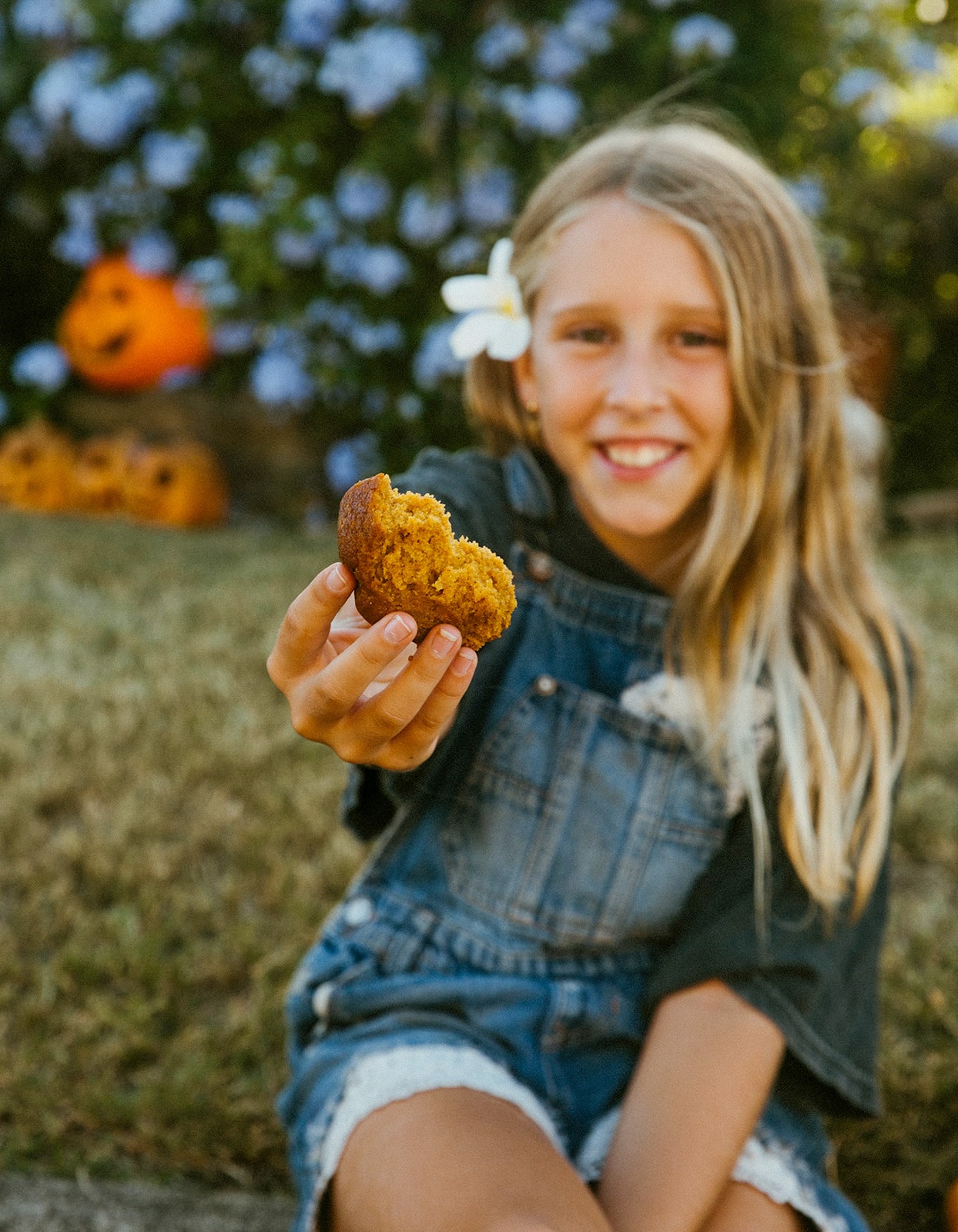 Pumpkin Bread